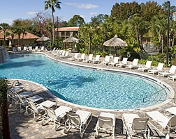 Doubletree Resort Outdoor Pool
